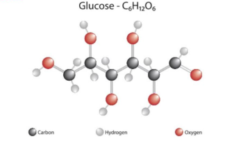 C₆H₁₂O₆ là gì?