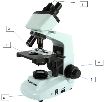 Các bộ phận của kính hiển vi quang học