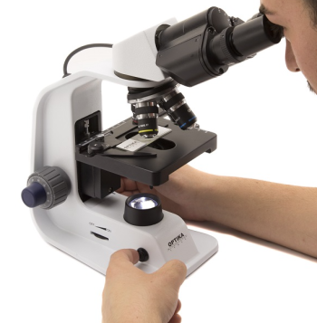 Hướng dẫn sử dụng kính hiển vi quang học