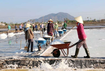 Muối công nghiệp là gì?