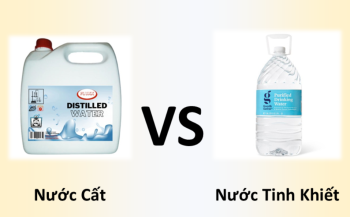 Nước cất và nước tinh khiết khác nhau thế nào